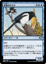 画像: 【日本語版】泥棒カササギ/Thieving Magpie