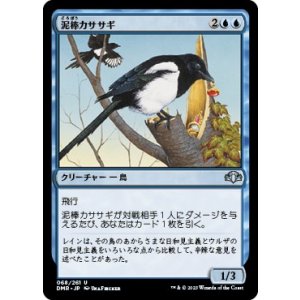 画像: 【日本語版】泥棒カササギ/Thieving Magpie