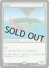 画像: 【日本語版】極楽鳥/Birds of Paradise