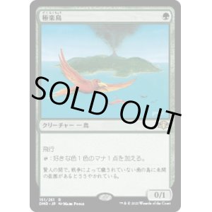 画像: 【日本語版】極楽鳥/Birds of Paradise