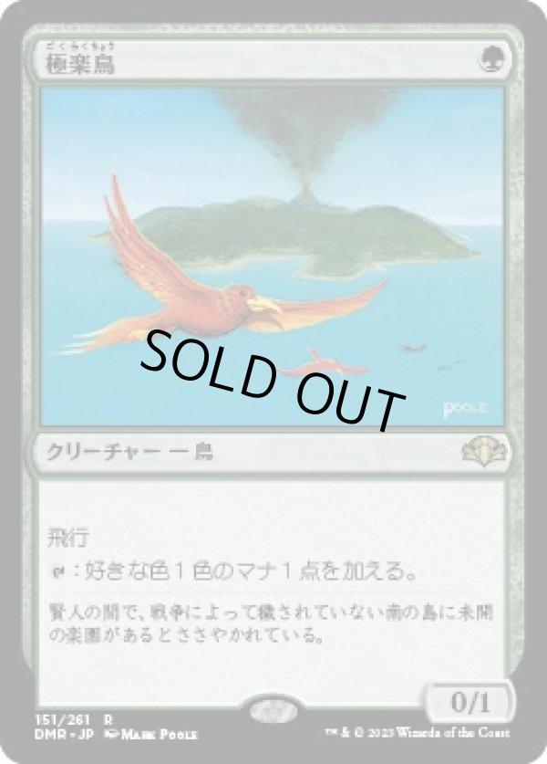 画像1: 【日本語版】極楽鳥/Birds of Paradise (1)