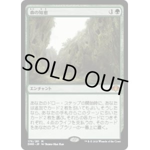 画像: 【日本語版】森の知恵/Sylvan Library