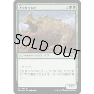 画像: 【日本語版】土を食うもの/Terravore