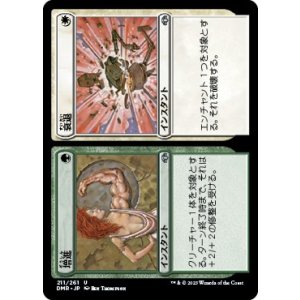 画像: 【日本語版】増進+衰退/Wax+Wane