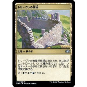 画像: 【日本語版】トリーヴァの廃墟/Treva's Ruins