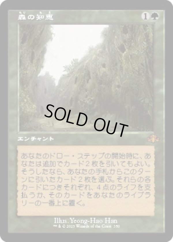 画像1: 【旧枠】【日本語版】森の知恵/Sylvan Library (1)