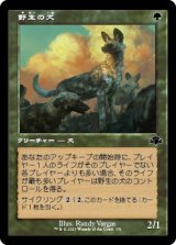 画像: 【旧枠】【日本語版】野生の犬/Wild Dogs