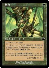 画像: 【旧枠】【日本語版】繁茂/Wild Growth