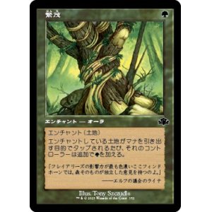 画像: 【旧枠】【日本語版】繁茂/Wild Growth