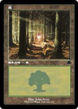 画像: 【旧枠】【日本語版】森/Forest