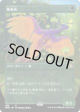 画像: 【ボーダーレス】【日本語版】極楽鳥/Birds of Paradise