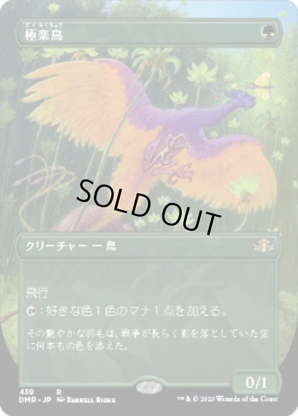 画像1: 【ボーダーレス】【日本語版】極楽鳥/Birds of Paradise (1)