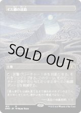 画像: 【ボーダーレス】【日本語版】イス卿の迷路/Maze of Ith