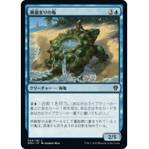 画像: 【日本語版】潮溜まりの亀/Tidepool Turtle