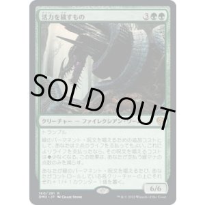画像: 【日本語版】活力を穢すもの/Defiler of Vigor