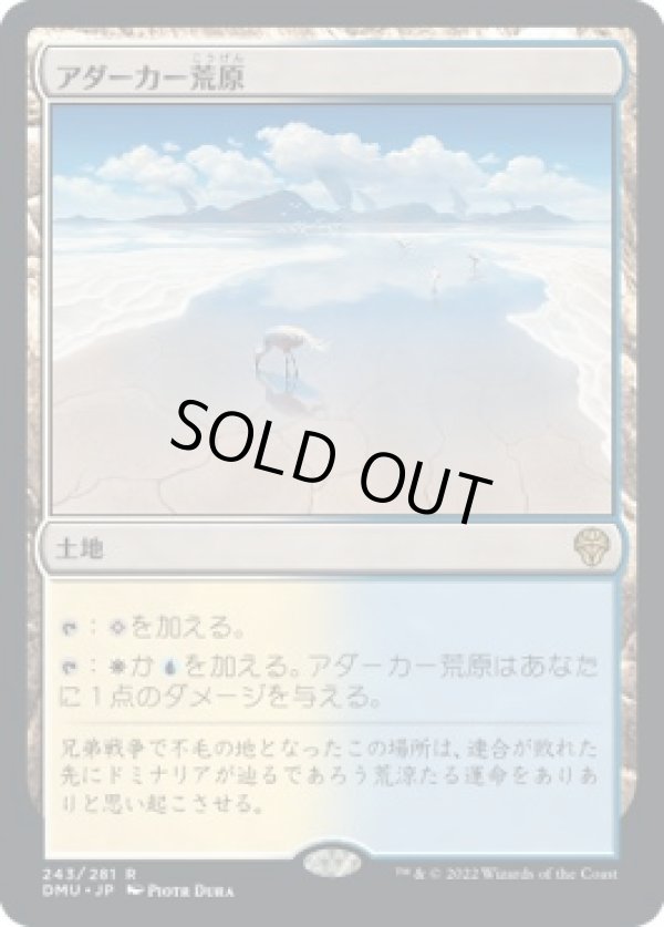 画像1: 【日本語版】アダーカー荒原/Adarkar Wastes (1)