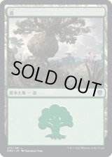 画像: 【日本語版】森/Forest