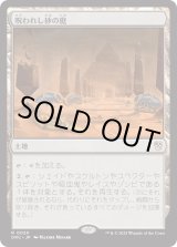 画像: 【日本語版】呪われし砂の庭/Accursed Duneyard