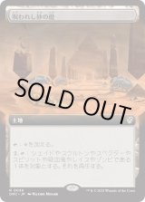 画像: 【日本語版】呪われし砂の庭/Accursed Duneyard