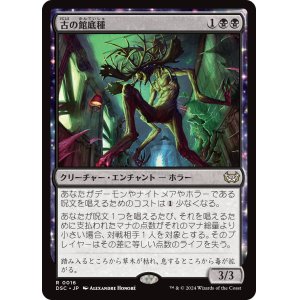 画像: 【日本語版】古の館底種/Ancient Cellarspawn