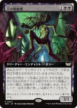 画像: 【拡張枠】【日本語版】古の館底種/Ancient Cellarspawn