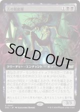 画像: 【拡張枠】【日本語版】古の館底種/Ancient Cellarspawn