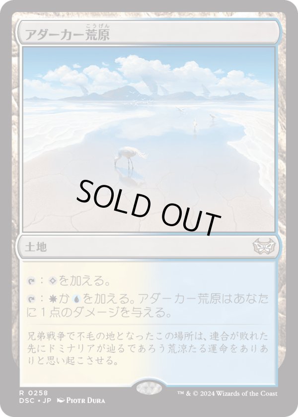 画像1: 【日本語版】アダーカー荒原/Adarkar Wastes (1)