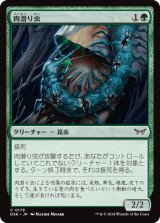 画像: 【日本語版】肉潜り虫/Flesh Burrower