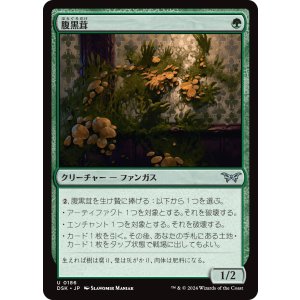画像: 【日本語版】腹黒茸/Insidious Fungus