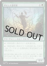画像: 【日本語版】草むした盲信者/Overgrown Zealot