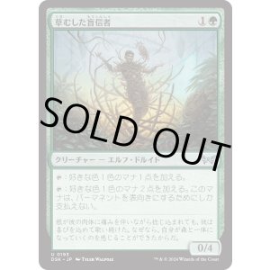 画像: 【日本語版】草むした盲信者/Overgrown Zealot