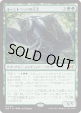 画像: 【日本語版】ホーントウッドの大主/Overlord of the Hauntwoods