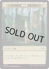 画像: 【トークン】【日本語版】遍在地トークン/Everywhere Token