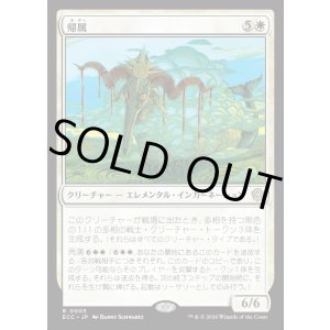 画像: 【日本語版】帰属/Belonging