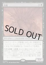 画像: 【日本語版】哀絶/Lamentation