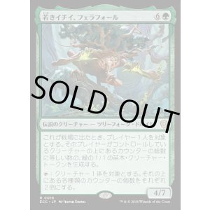 画像: 【日本語版】若きイチイ、フェラフォール/Ferrafor, Young Yew