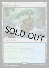 画像: 【日本語版】雨濡れの低木林/Rain-Slicked Copse