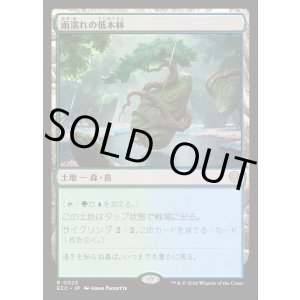 画像: 【日本語版】雨濡れの低木林/Rain-Slicked Copse