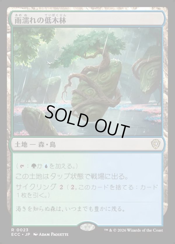 画像1: 【日本語版】雨濡れの低木林/Rain-Slicked Copse (1)