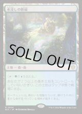 画像: 【日本語版】水浸しの新緑/Sodden Verdure