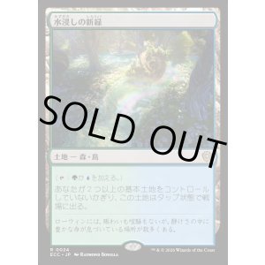 画像: 【日本語版】水浸しの新緑/Sodden Verdure