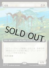 画像: 【拡張枠】【日本語版】帰属/Belonging