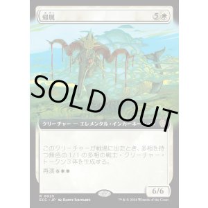 画像: 【拡張枠】【日本語版】帰属/Belonging