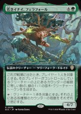 画像: 【拡張枠】【日本語版】若きイチイ、フェラフォール/Ferrafor, Young Yew