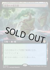 画像: 【拡張枠】【日本語版】雨濡れの低木林/Rain-Slicked Copse