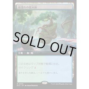 画像: 【拡張枠】【日本語版】雨濡れの低木林/Rain-Slicked Copse