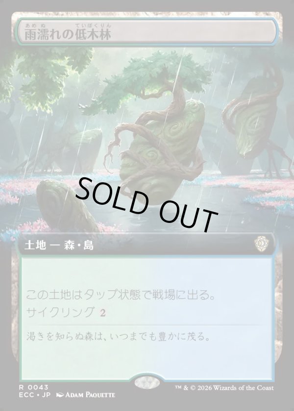 画像1: 【拡張枠】【日本語版】雨濡れの低木林/Rain-Slicked Copse (1)