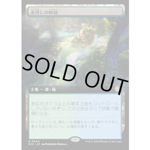 画像: 【拡張枠】【日本語版】水浸しの新緑/Sodden Verdure