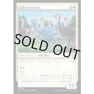 画像: 【日本語版】鳥群のなりすまし/Flock Impostor