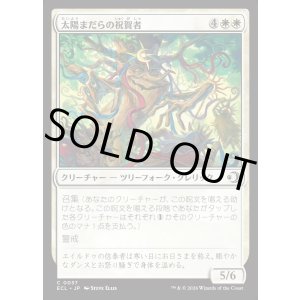 画像: 【日本語版】太陽まだらの祝賀者/Sun-Dappled Celebrant